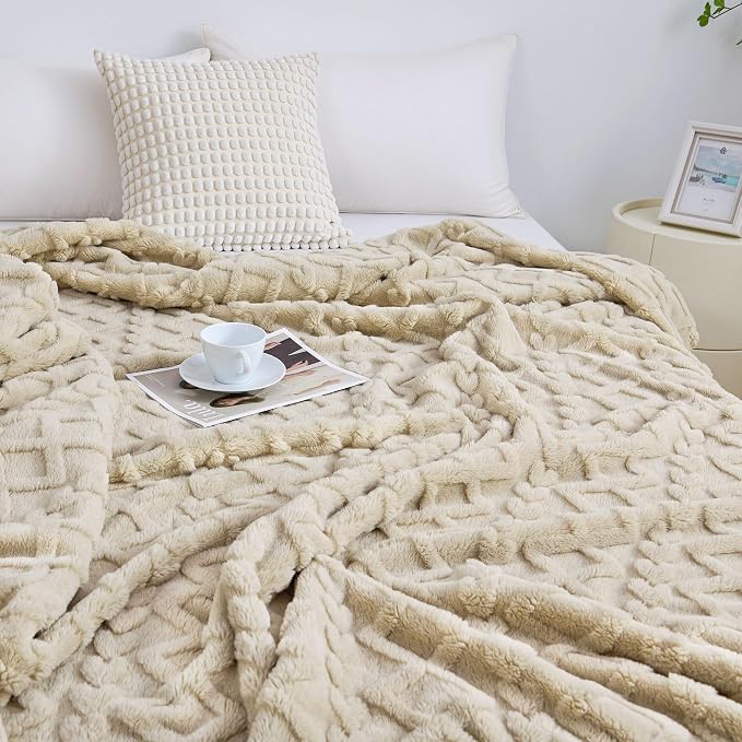 Aganear Blanket Queen Size - Fuzzy Cozy Soft Blanket for Couch, Sofa, Bed, Office, Decorative Present for All Seasons, Portable Throw Blankets for Couch, Sofa, Bed(90"x90", Khaki)
