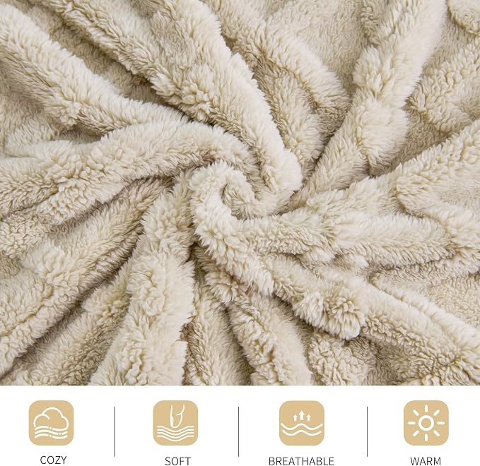 Aganear Blanket Queen Size - Fuzzy Cozy Soft Blanket for Couch, Sofa, Bed, Office, Decorative Present for All Seasons, Portable Throw Blankets for Couch, Sofa, Bed(90"x90", Khaki)